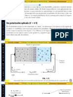 2.1 Estructura y Funcionamiento DIODO