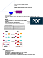6 - Acidos Nucleicos