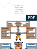 Regiones Abdominales