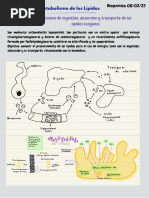 Act - E1 - Metabolismo de Los Lipidos