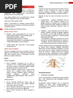 Sistema Nervoso Autônomo