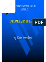 17 Ing. Walter Apaza-Enfermedades en Cebolla PDF