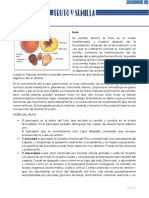 Práctica 10. Fruto y Semilla