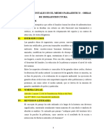 Impacto Ambiental en El Medio Paisajistico - Obras de Infraestructura