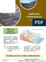 Ambientes Sedimentarios