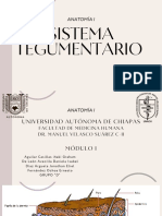 2.sistema Tegumentario PDF