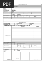 Formulario Auditorias de Trabajo