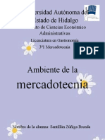 Ambiente de La Mercadotecnia