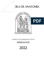 Guía de TP Neurología 2023