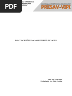 Ensayo Cientifico Caso Refinería El Palito