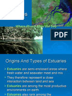 Estuaries 1