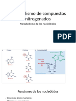 Metabolismo de Los Nucleotidos-2 PDF