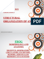 Frog-Str Organization in Animals PDF