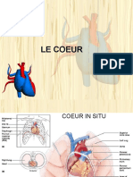 Coeur - FR