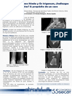 Introducción: Fractura Del Proceso Stieda y Os Trigonum, ¿Hallazgos Excluyentes? A Propósito de Un Caso