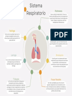 Mapa Mental Del Sistema Respiratorio