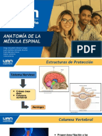 Anatomia de La Medula Espinal