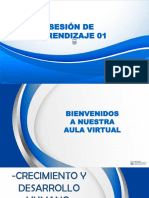 Sesion de Aprendizaje 01 PDF