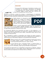 Las Organizaciones en El Tiempo PDF