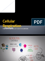 2 Glycolysis