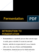 Fermentation