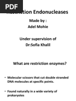 Restrictionenzymes-1