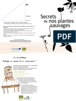 Recueil Plantes Sauvages 0 PDF