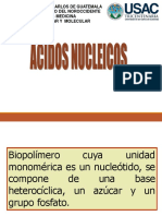 Acidos Nucleicos Usac PDF