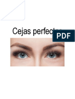 Cejas Perfectas PDF