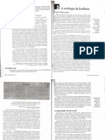 Emile Durkheim - Maria Cristina Costa PDF