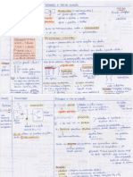 M0 Biomoleculas PDF