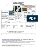 Sebastian Caballero HISTORIA NATURAL DE LA ENFERMEDAD Staphylococos PDF