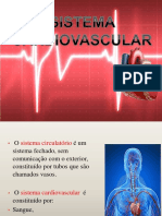 Anatomiacirculatorioaula5 PDF