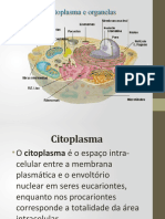 Organelas Citoplasmáticas 1° Ano