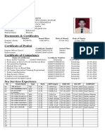 CV PDF