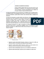 Lesiones de Ligamentos de Rodilla