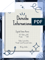 Derecho Int Ernacional