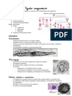 Tejido Conjuntivo