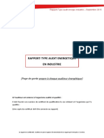 Rapport Type Audit