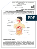 Sistema Digestorio PDF