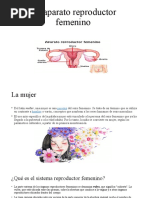 El Aparato Reproductor Femenino