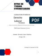 Derecho Laboral