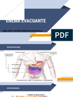 Enemas y Estomas