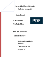 Calidad: Unidad Iv Trabajo Final