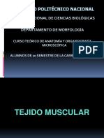 10 Tejido Muscular Teoría