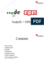 NPM Presentation 2018