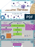 Anato y Fisio Sistema Nervioso