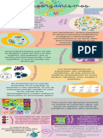 Infografia Microorganismo Fabiana Quiroz 