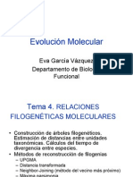 Evolucion Molecular 4