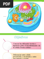 Biologia Celular Electivo Célula 4º Medio A B C D